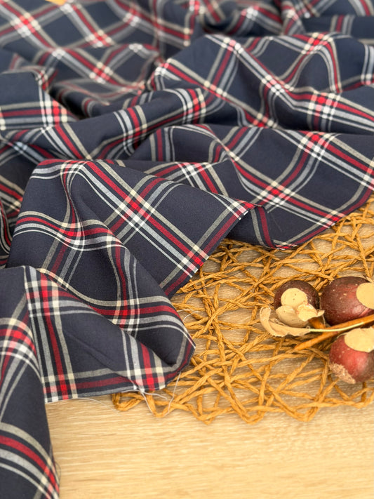 Printed Cotton Checks 19