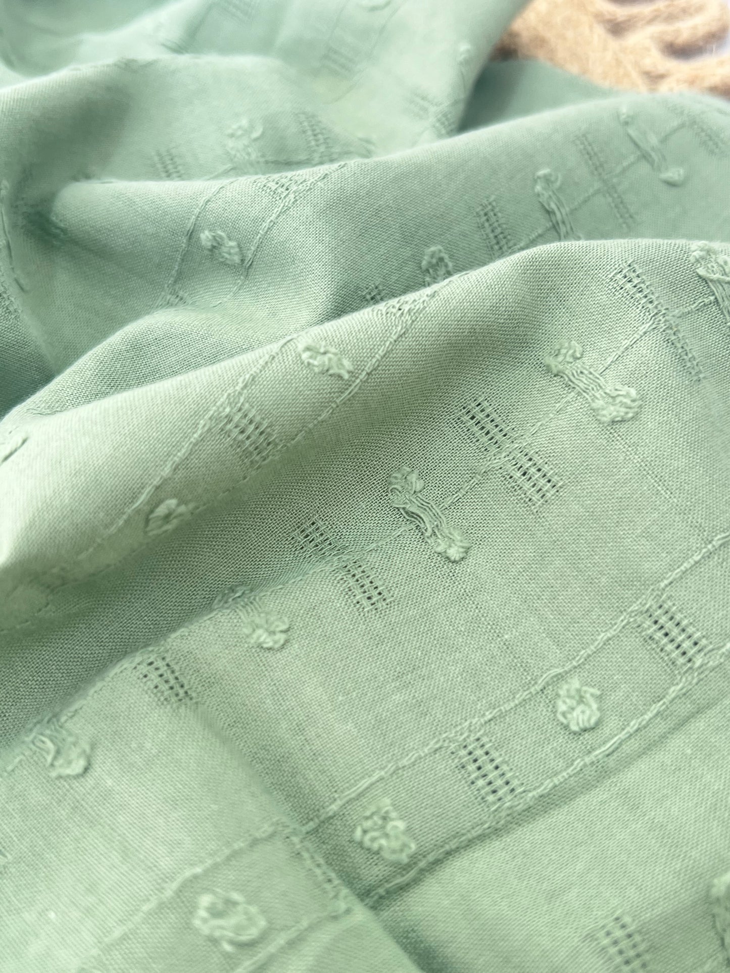 Embroidered Plumeti Cotton Dotty