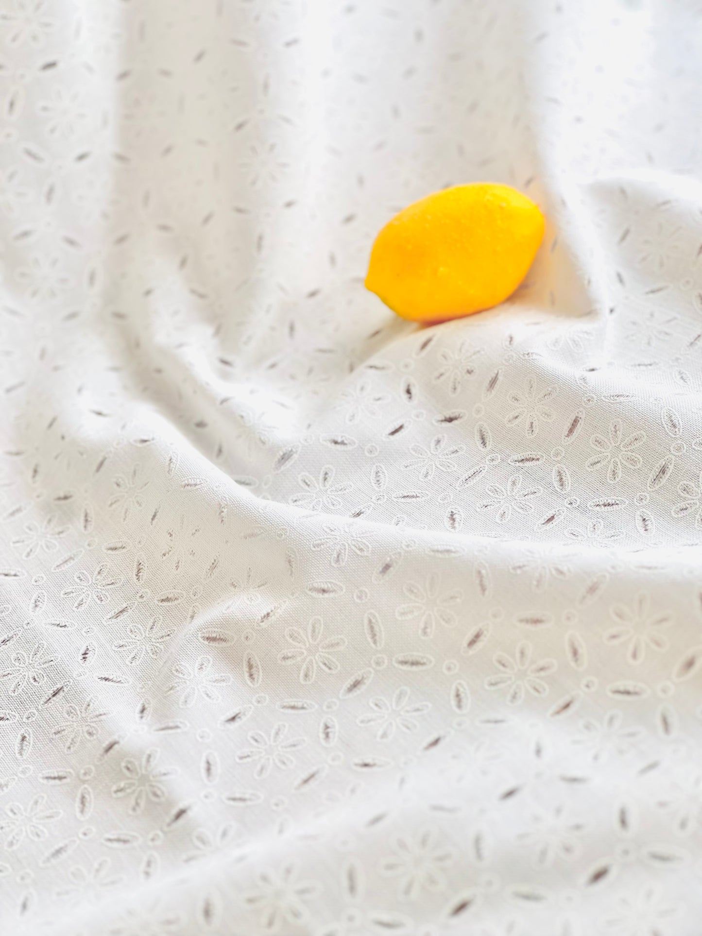 Holl Out Printed Linen 03