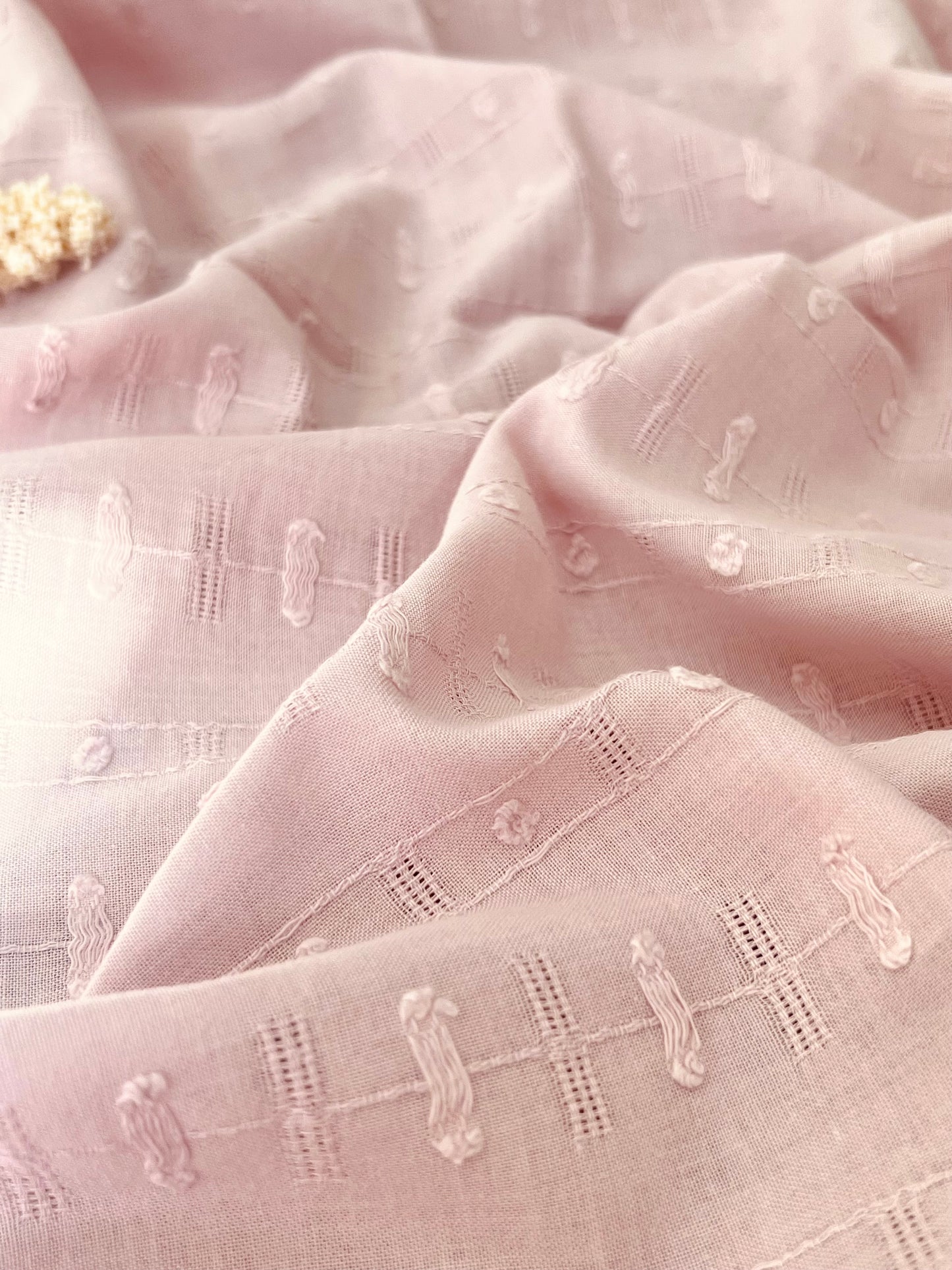 Embroidered Plumeti Cotton Dotty