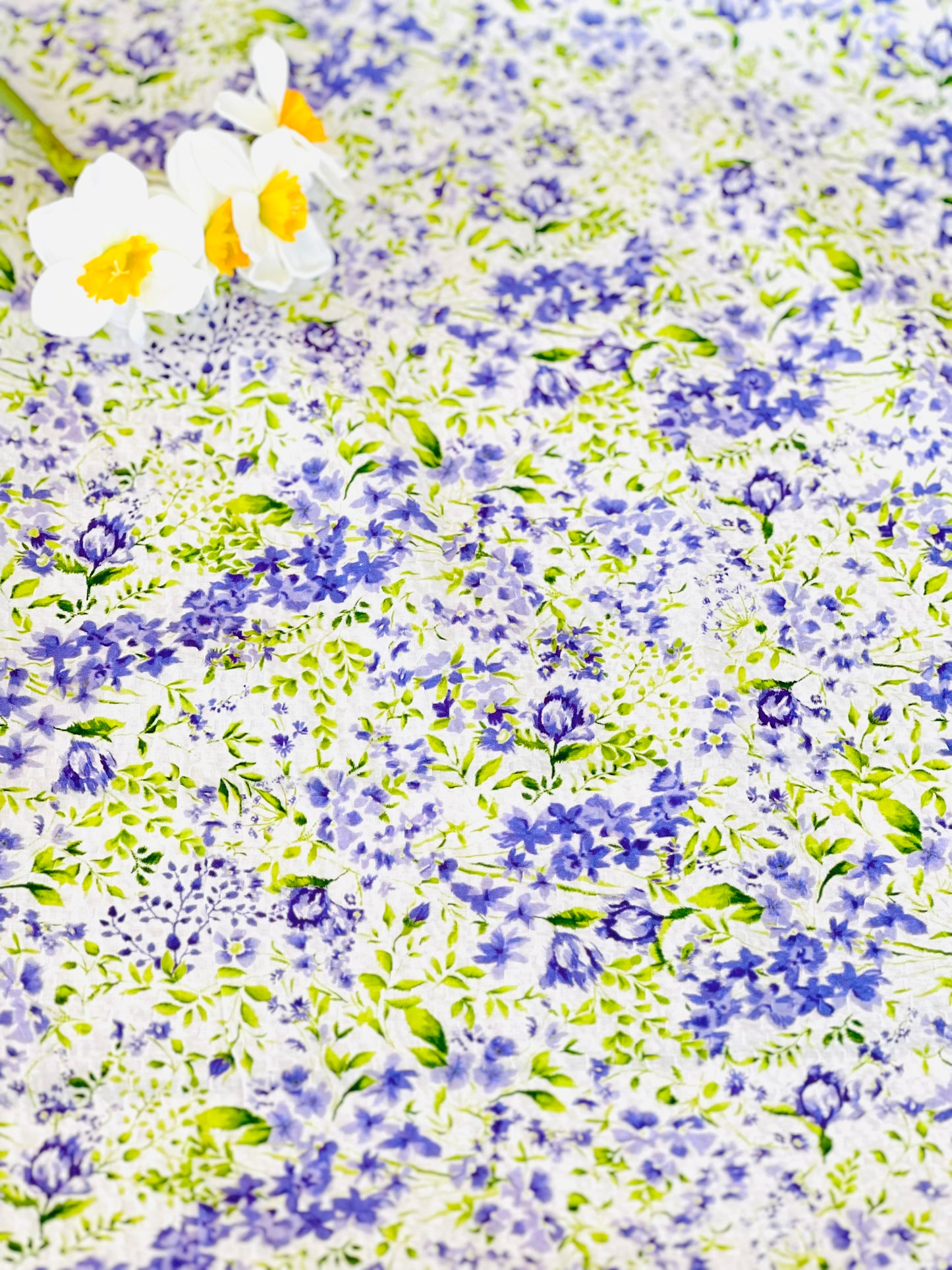 Printed Cotton Seersucker Spring/S16