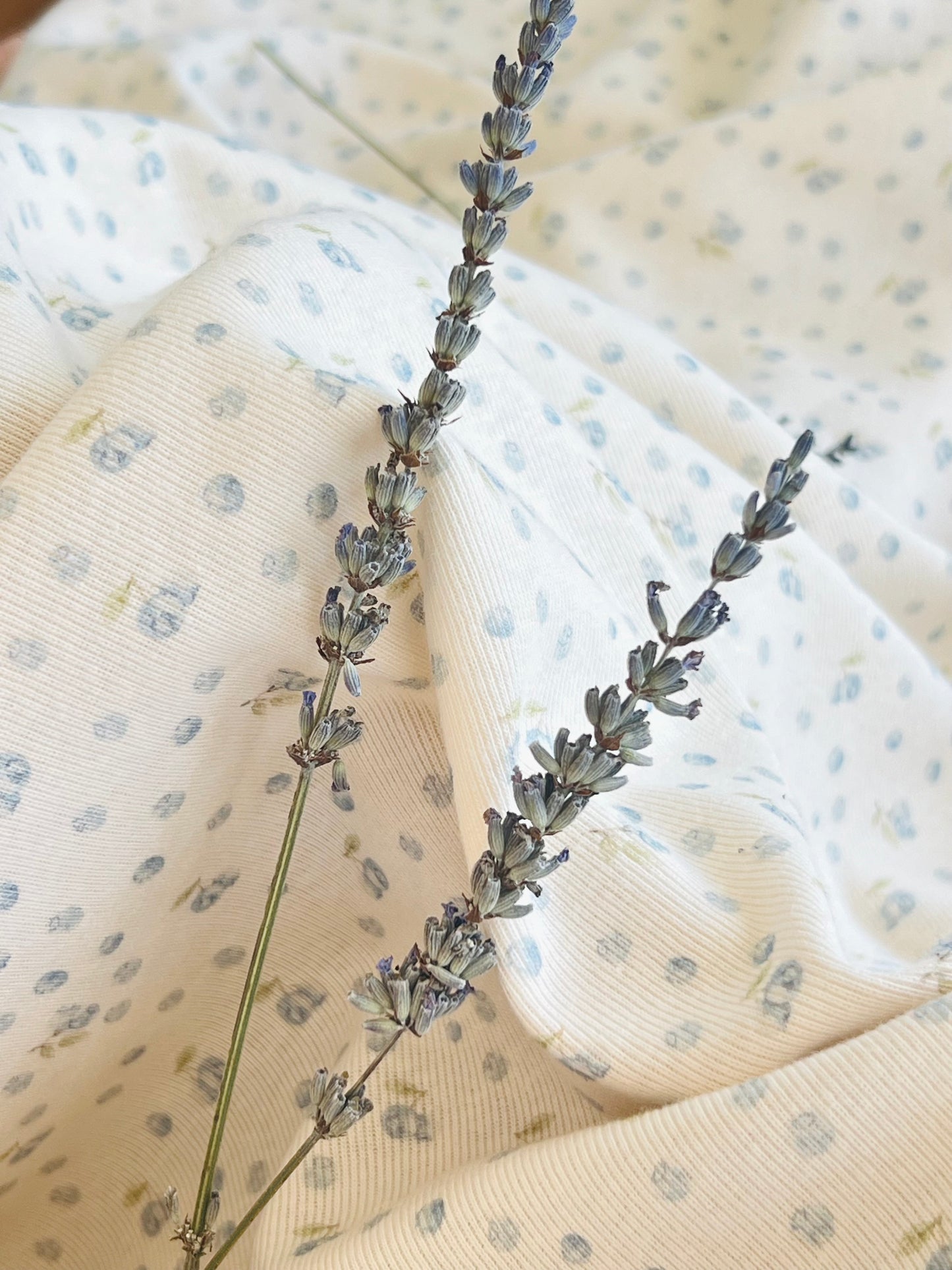 Printed Cotton Jersey Blueberry