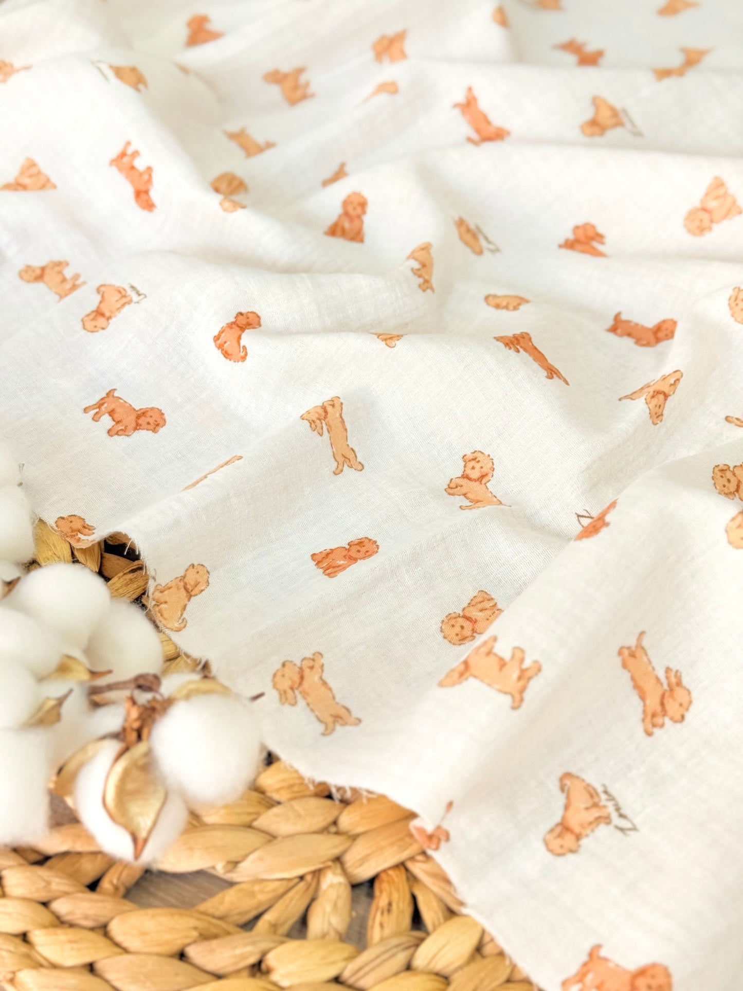 Muselina Honey Puppies