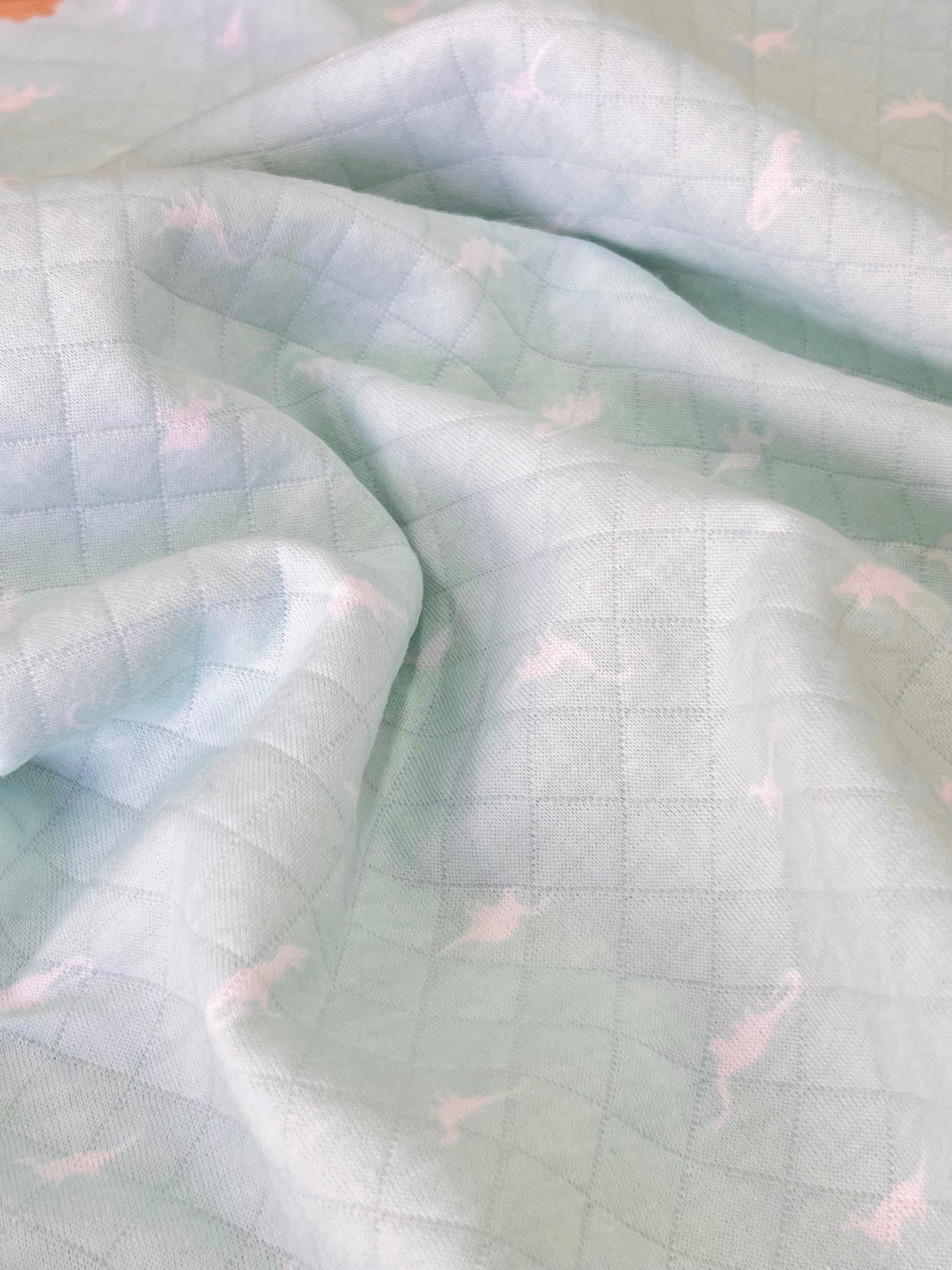 Printed Quilted Fabric Dinosaur
