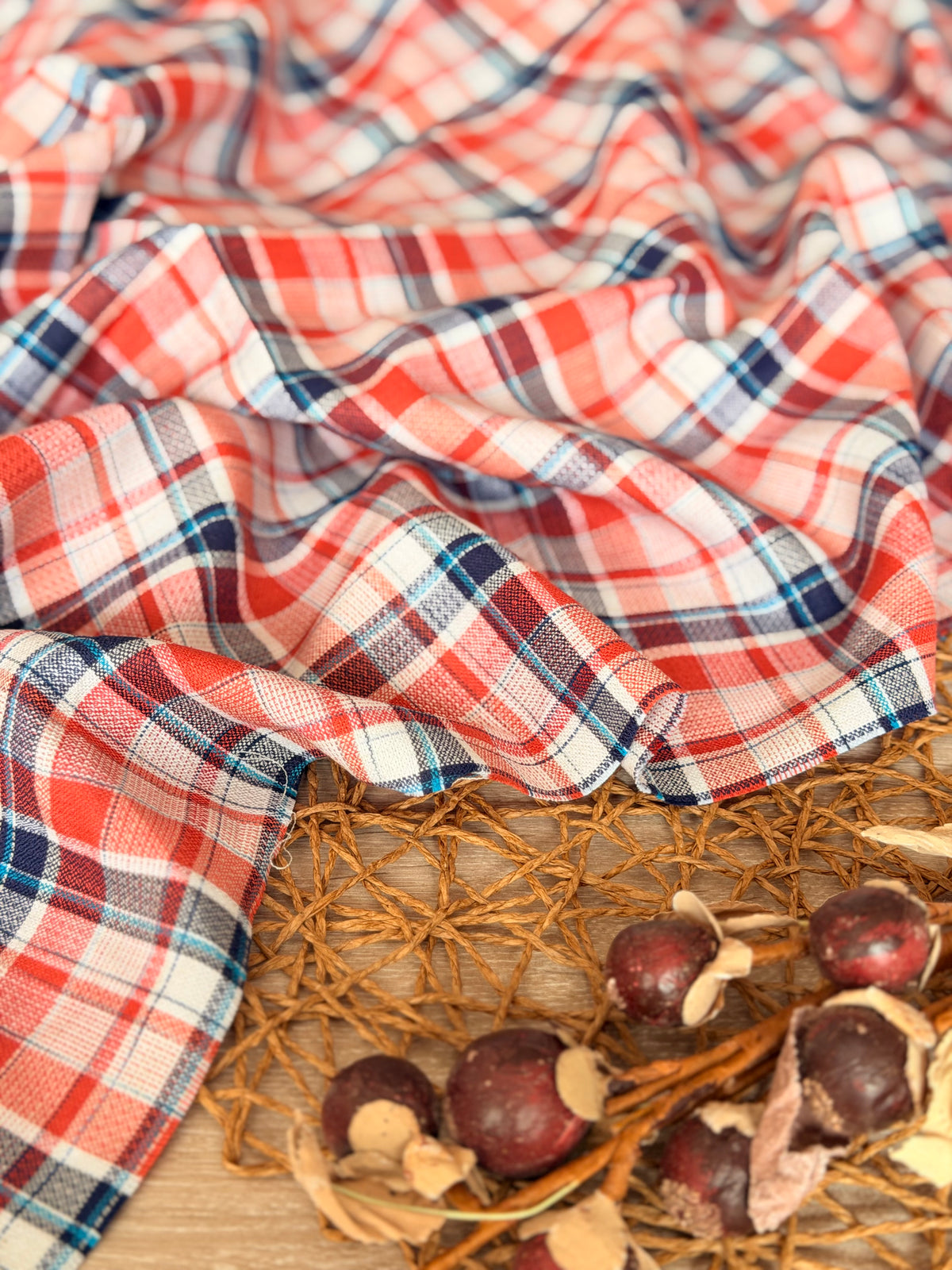 Printed Cotton Checks 44