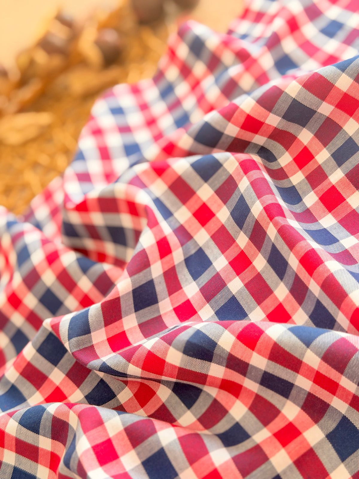 Printed Cotton Checks 33