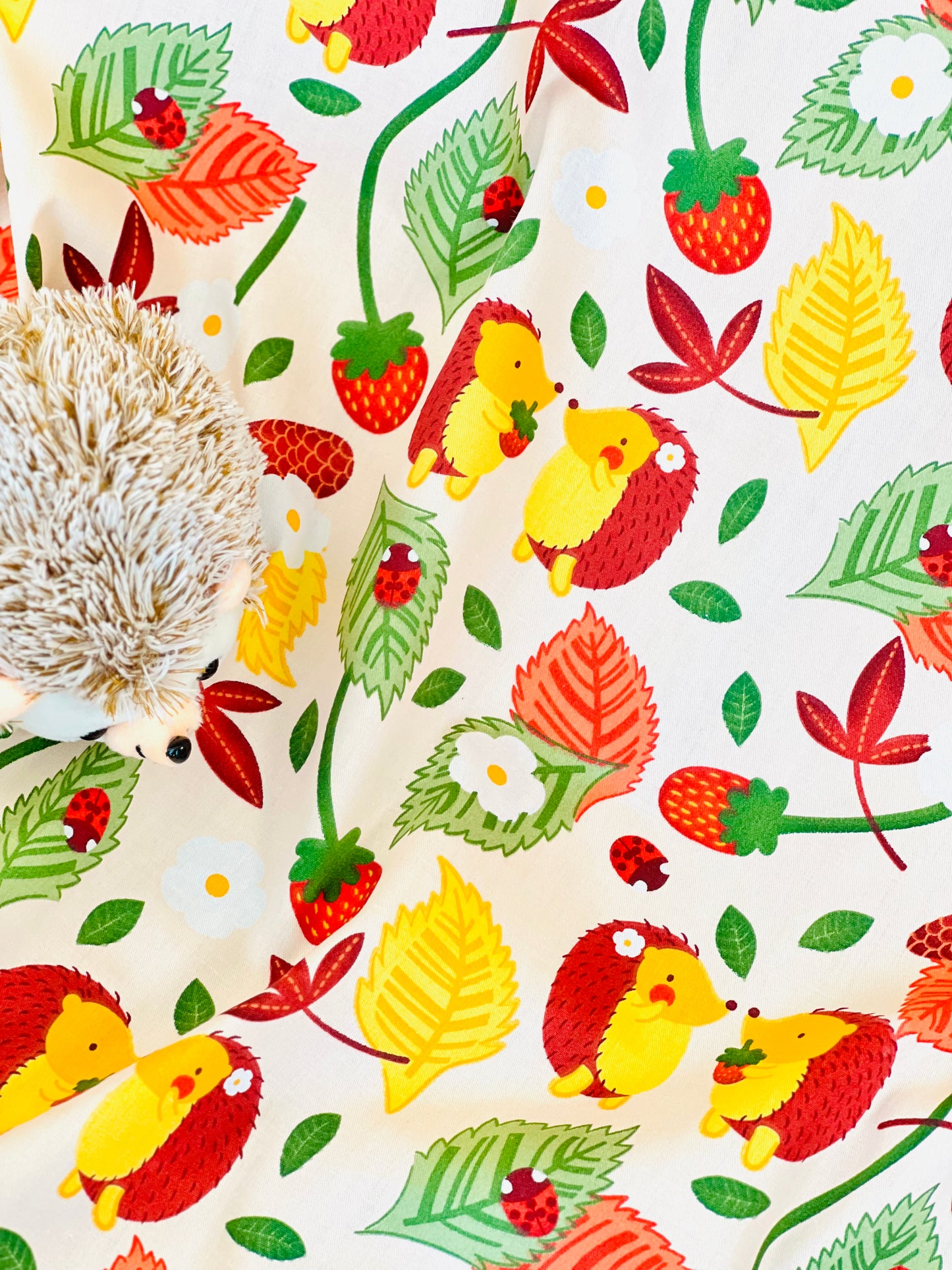 Cotton Twill Hedgehog