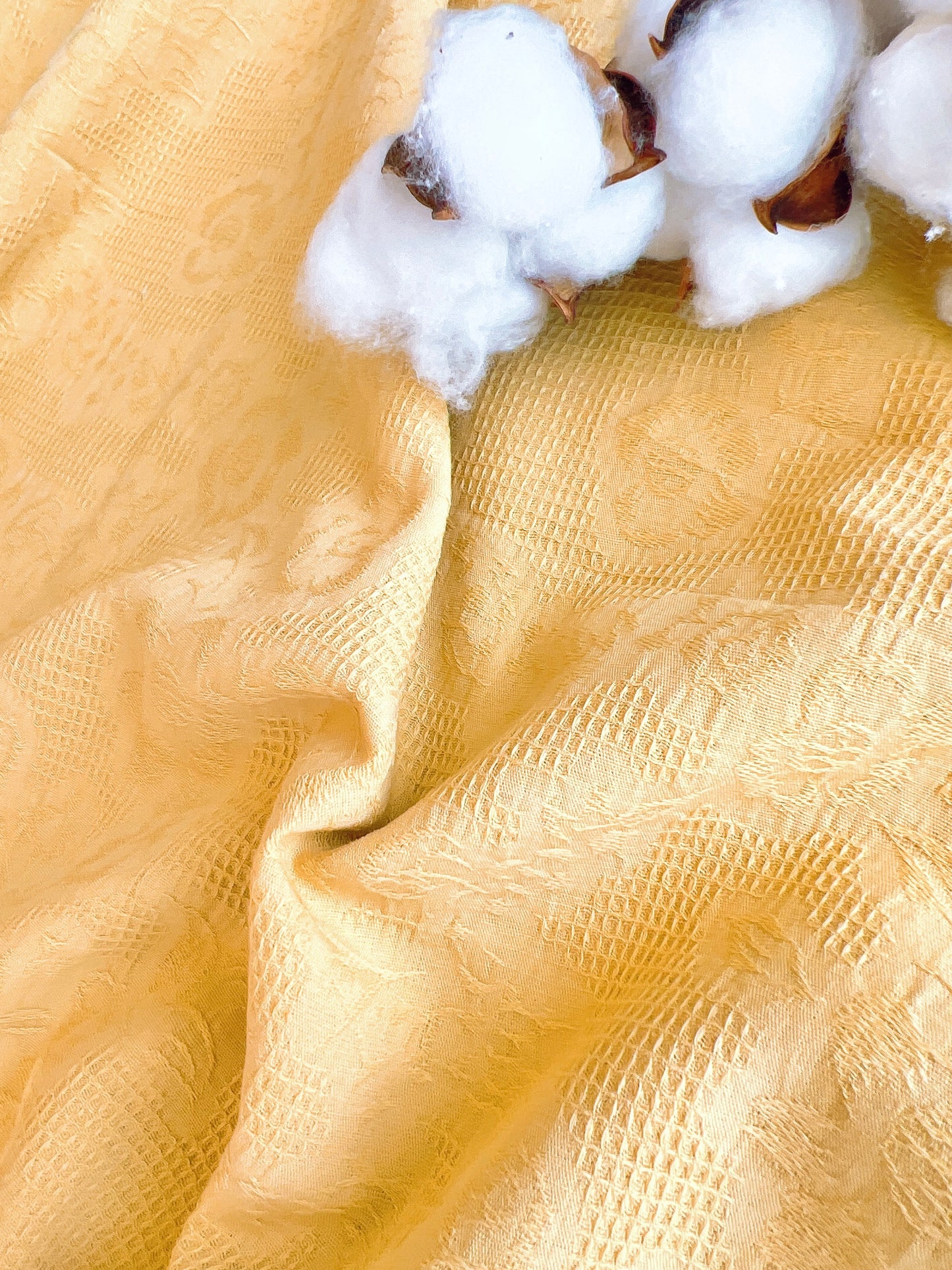 Embroidered Cotton Roseta