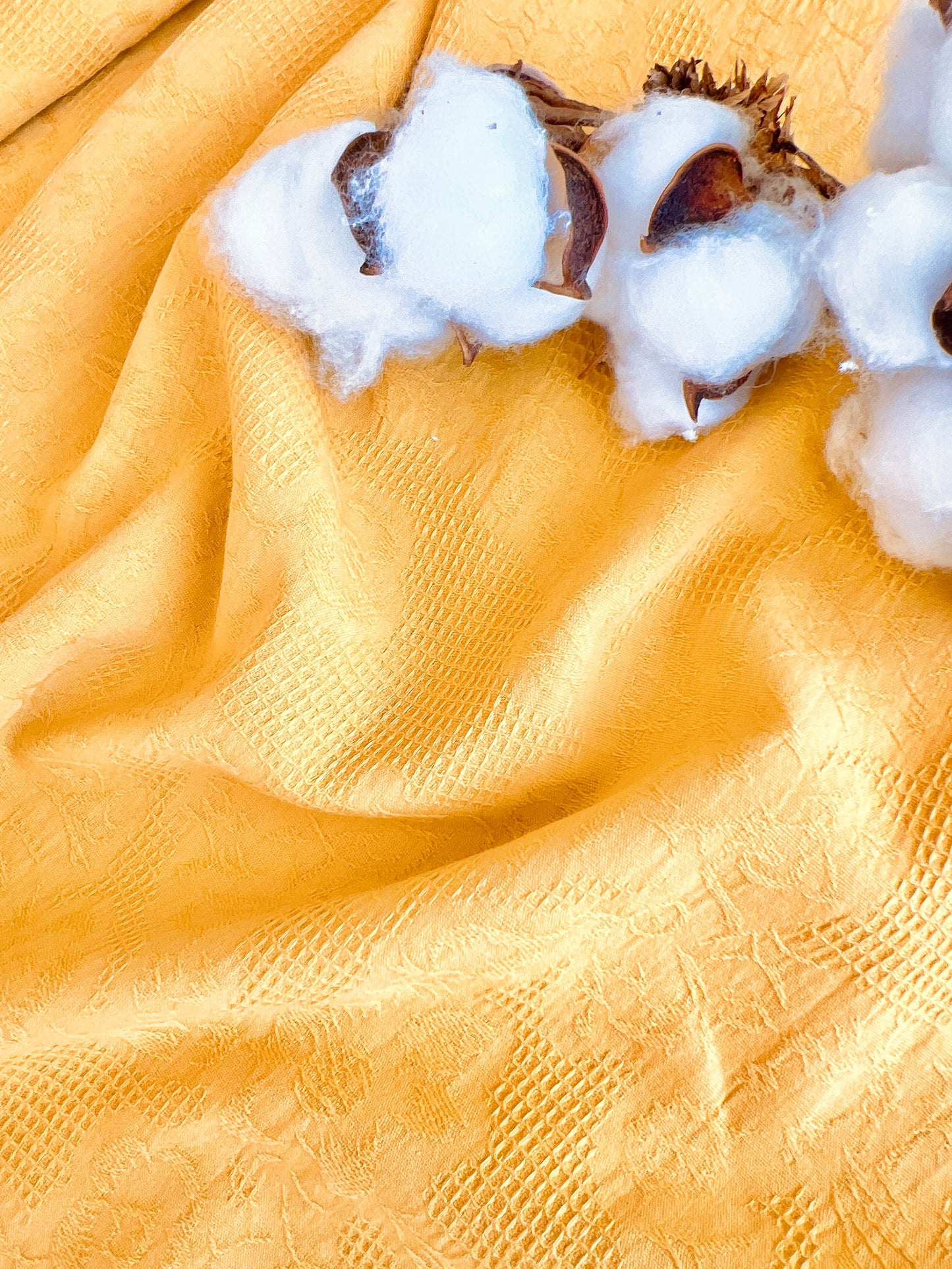 Embroidered Cotton Roseta