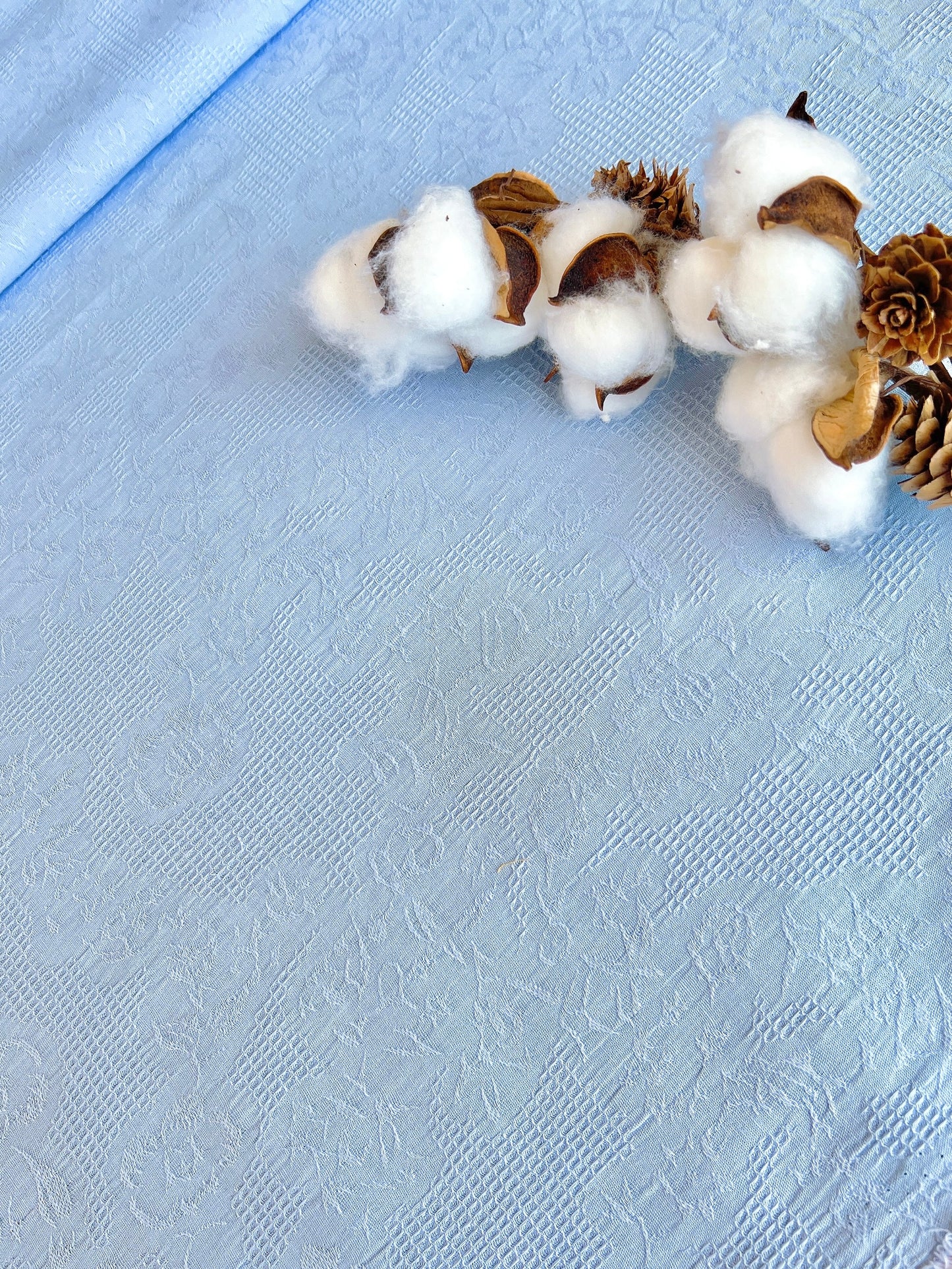 Embroidered Cotton Roseta