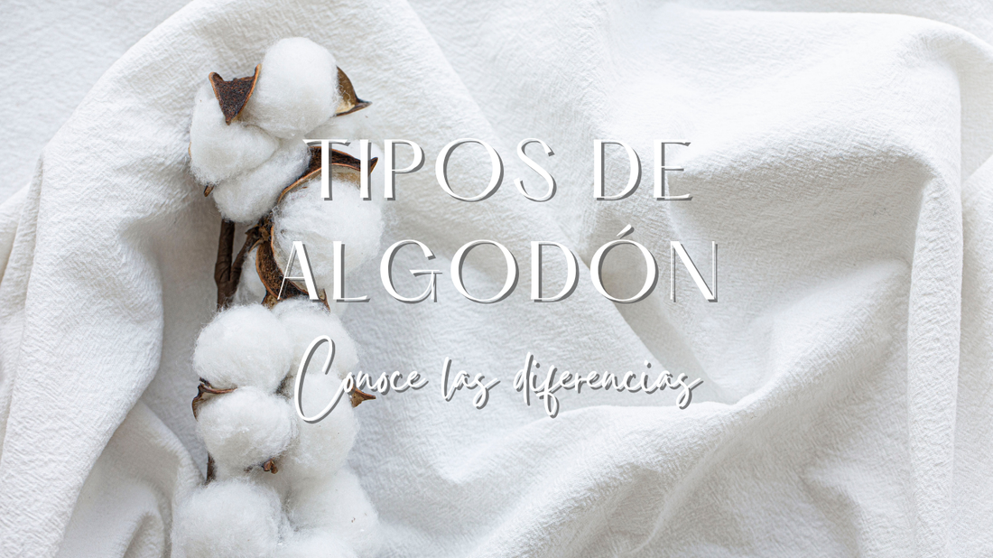 Tipos de Algodón: ¿En qué se diferencian la muselina, interlock, jersey, waffle y twill? 🧶🌿
