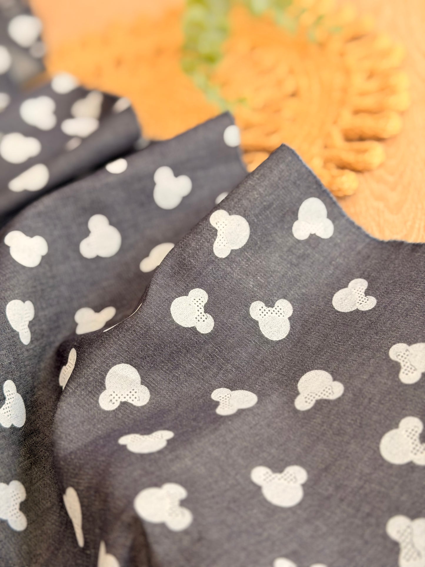 Printed Denim Mini Mouse