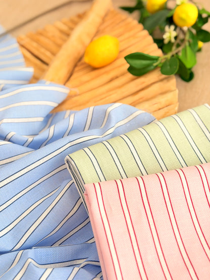 Printed Linen Stripes 22