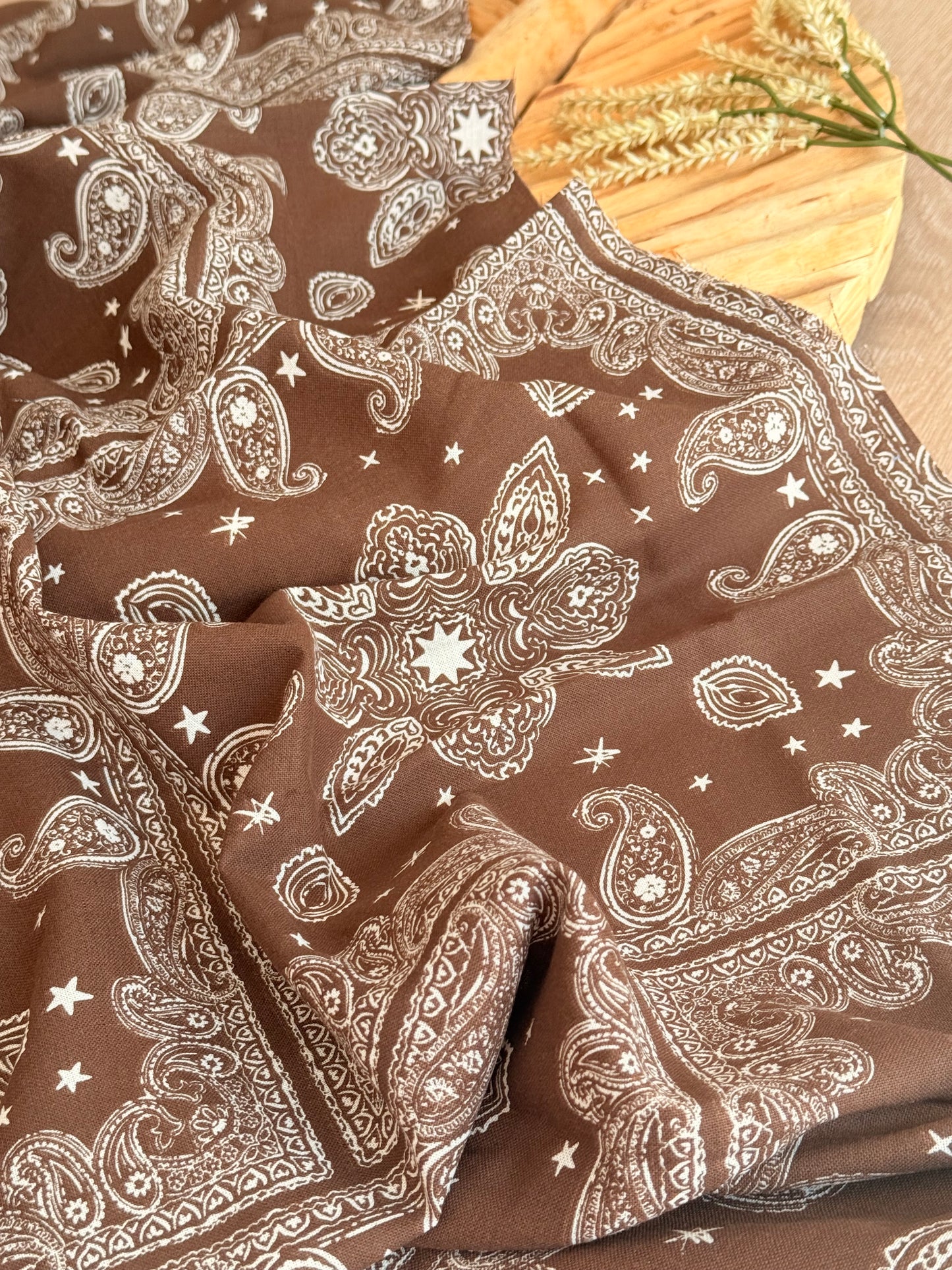 Printed Linen Desert Paisley