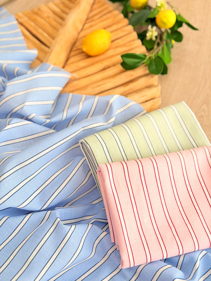 Printed Linen Stripes 22