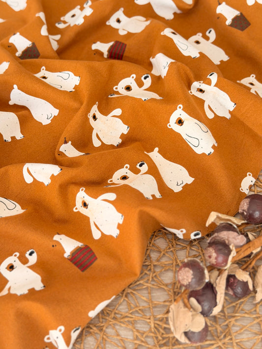 Franela Bear Tales