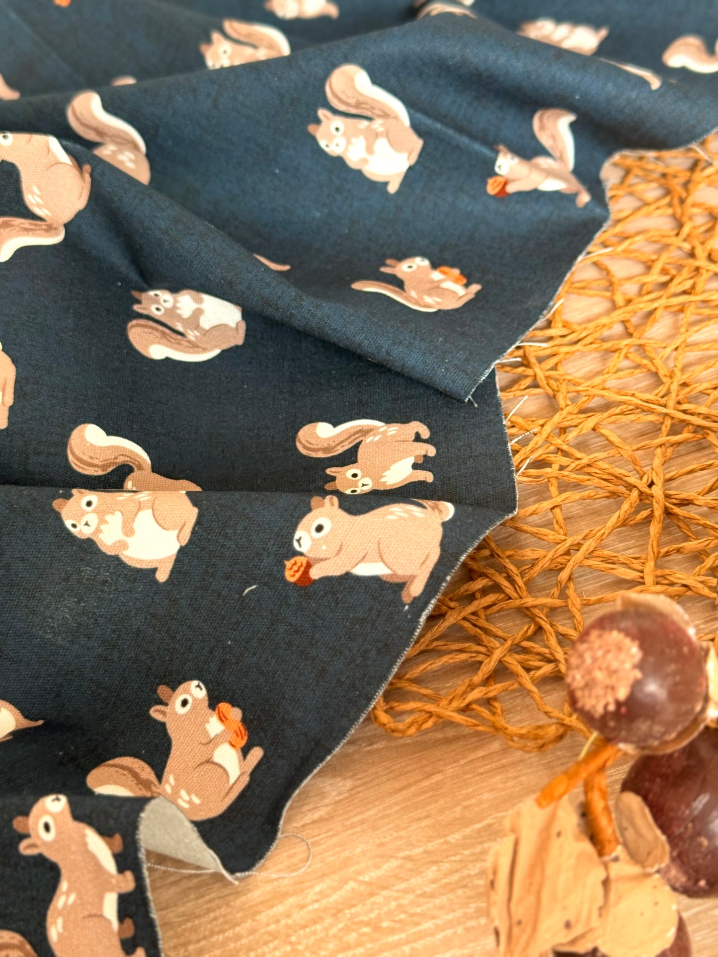 Gabardina Nutty Squirrels