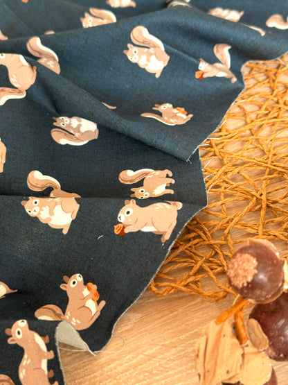 Gabardina Nutty Squirrels
