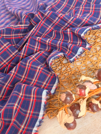Printed Cotton Checks 27