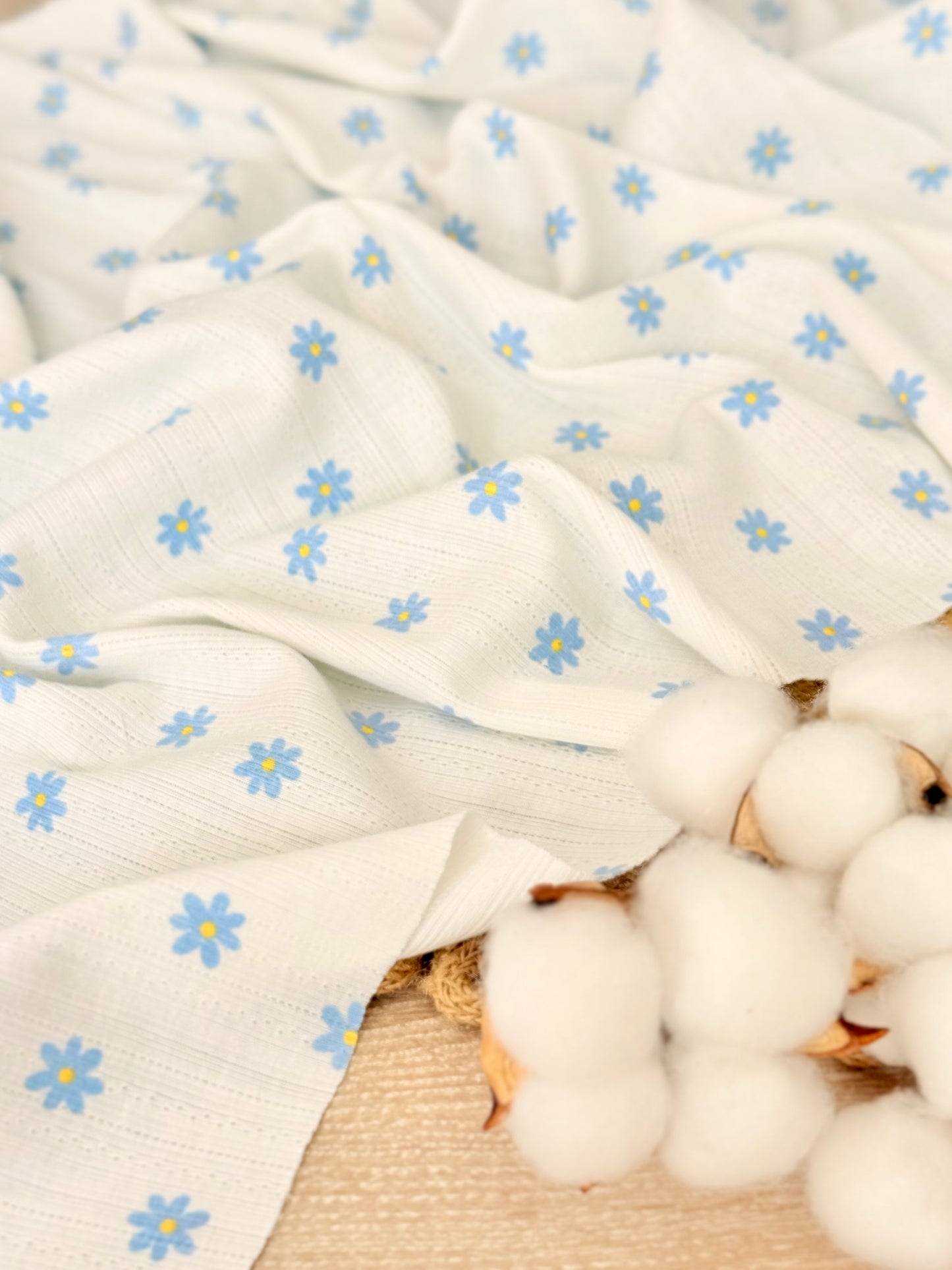 Printed Cotton Jersey Daisy Wishes