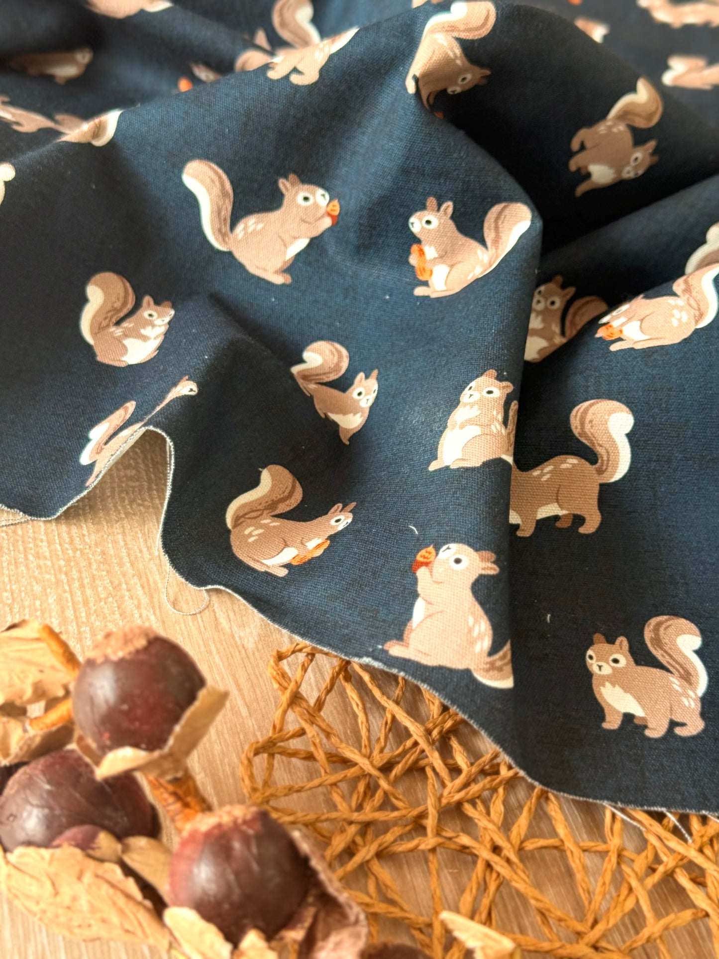 Gabardina Nutty Squirrels