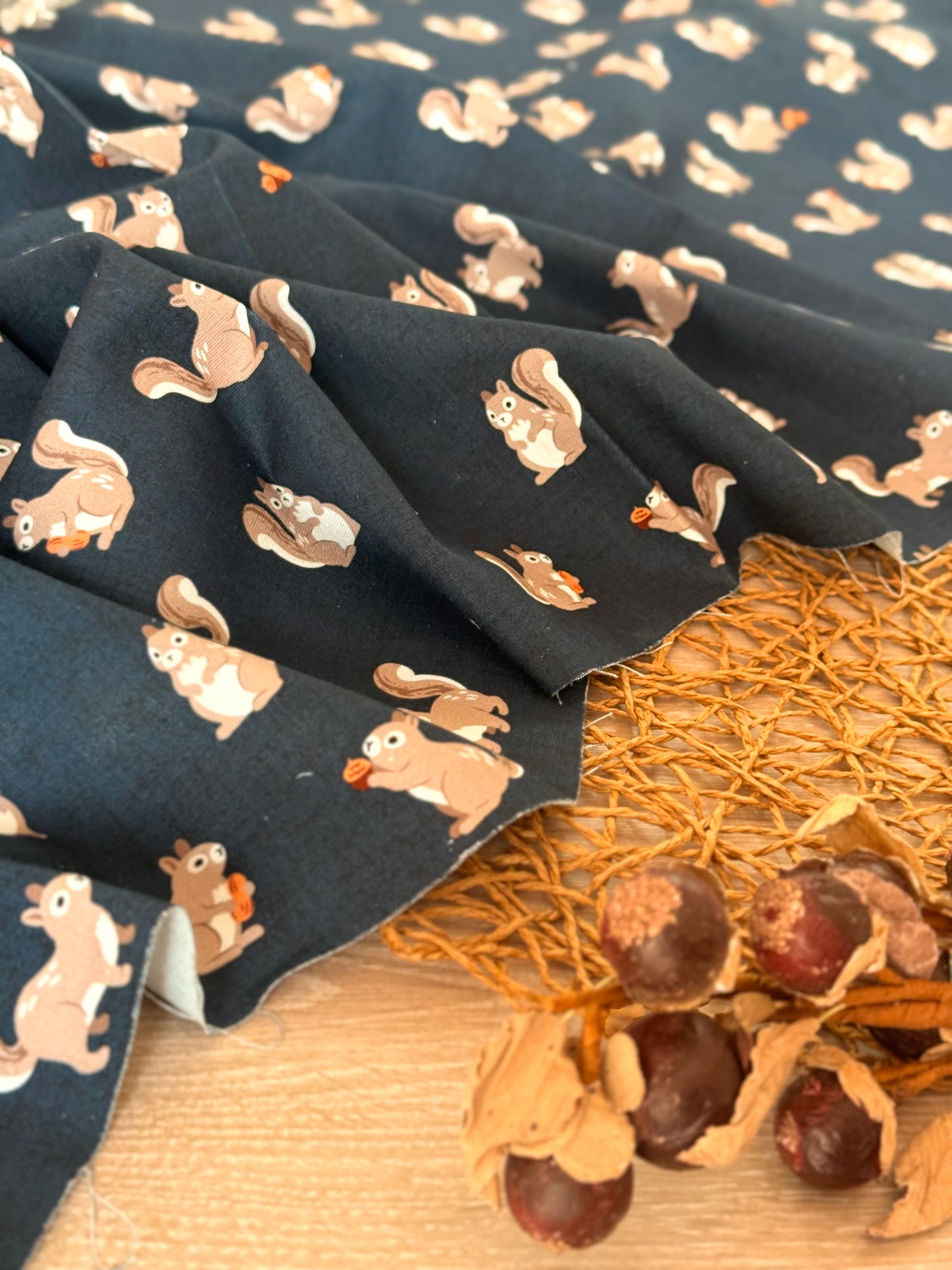 Gabardina Nutty Squirrels