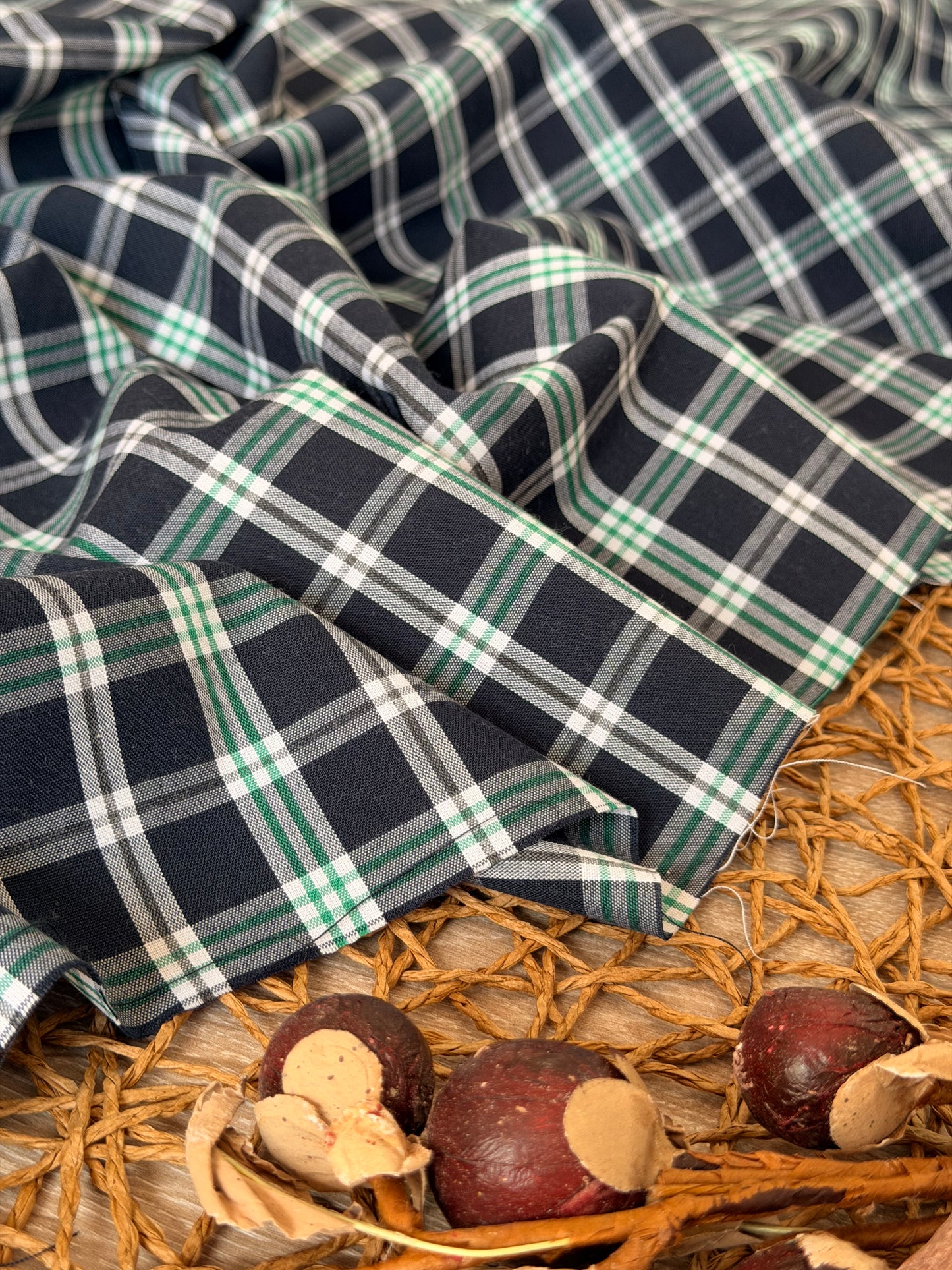 Printed Cotton Checks 21