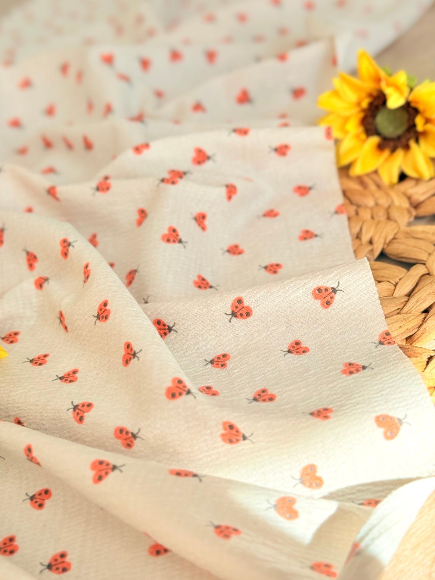 Knitted Seersucker Ladybug Garden