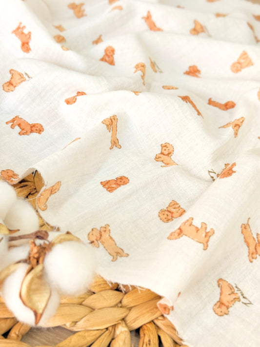 Muselina Honey Puppies