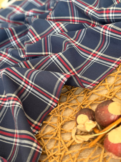 Printed Cotton Checks 19