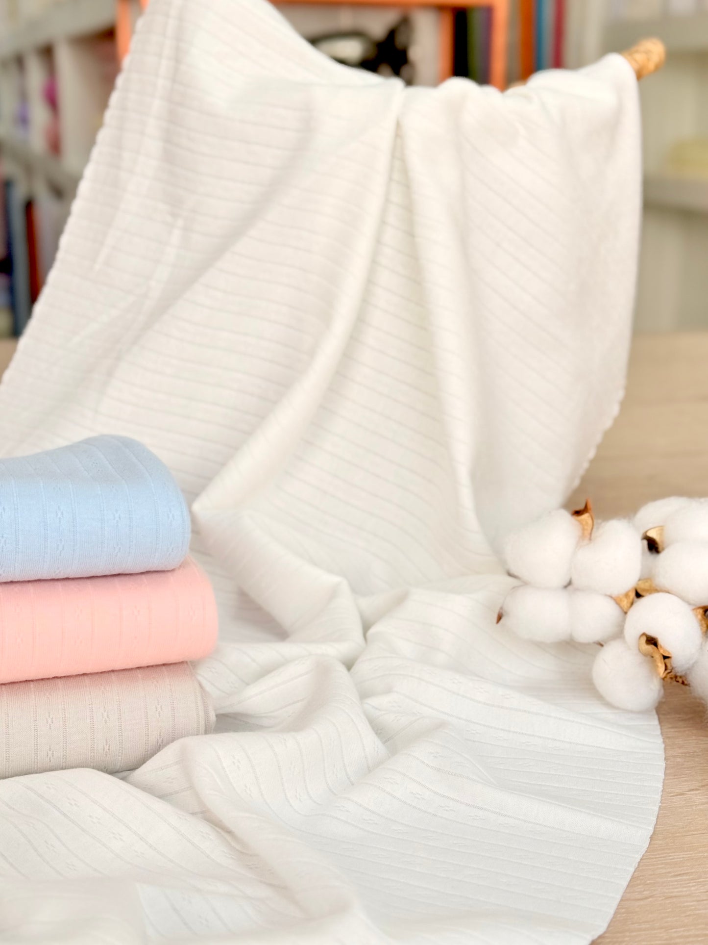 Cotton Jersey Stripes