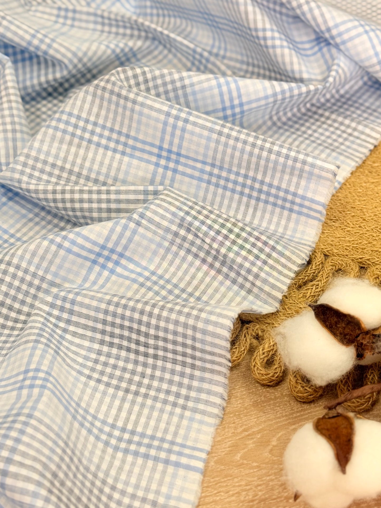 Printed Cotton Checks 22