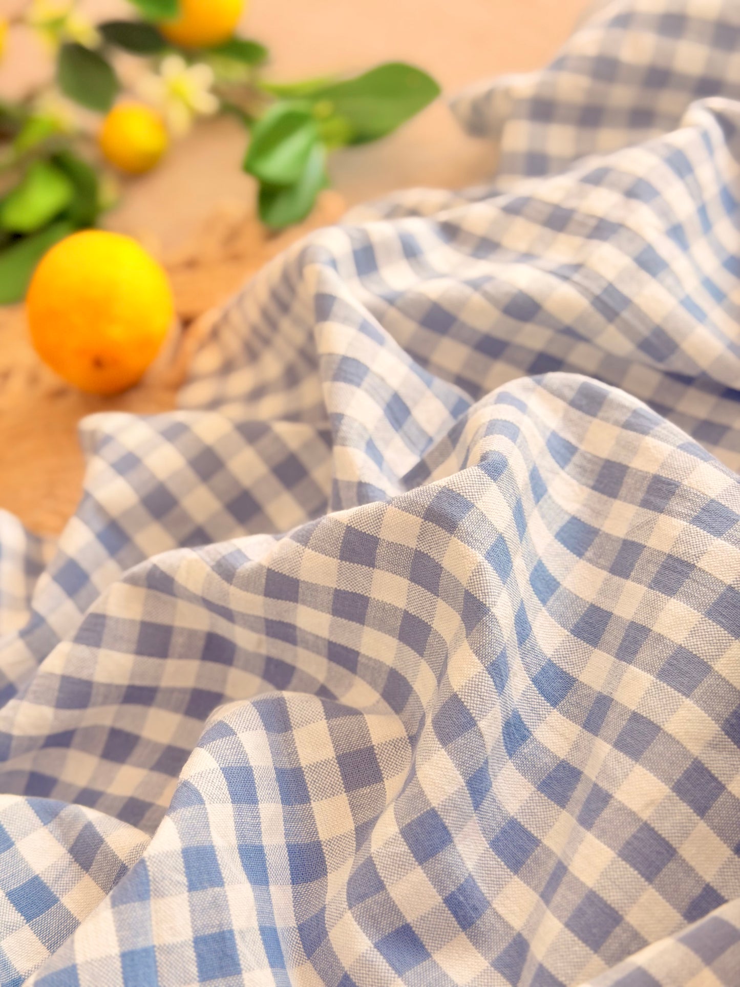 Printed Cotton Checks 18