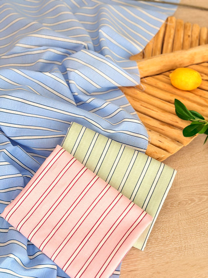 Printed Linen Stripes 22