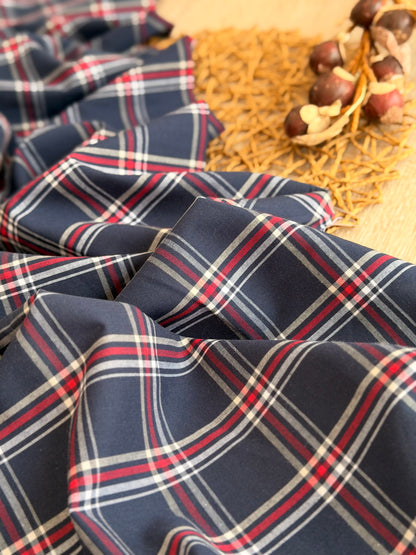 Printed Cotton Checks 19