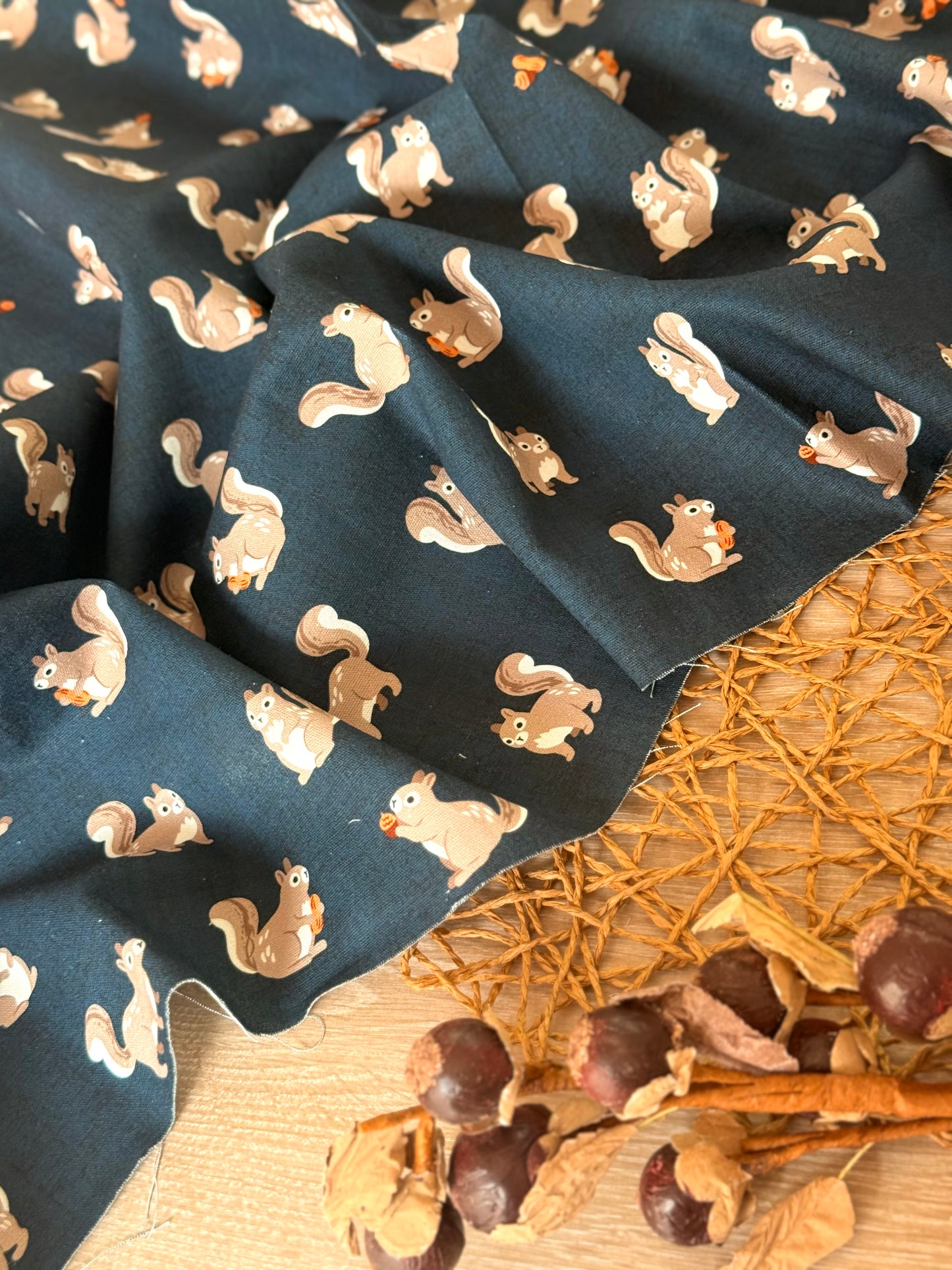 Gabardina Nutty Squirrels