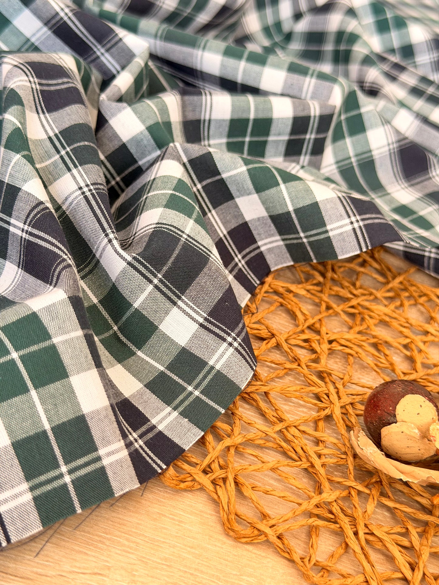 Printed Cotton Checks 20