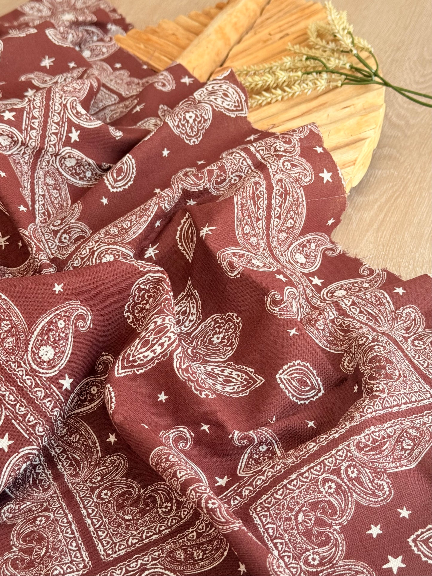 Printed Linen Desert Paisley