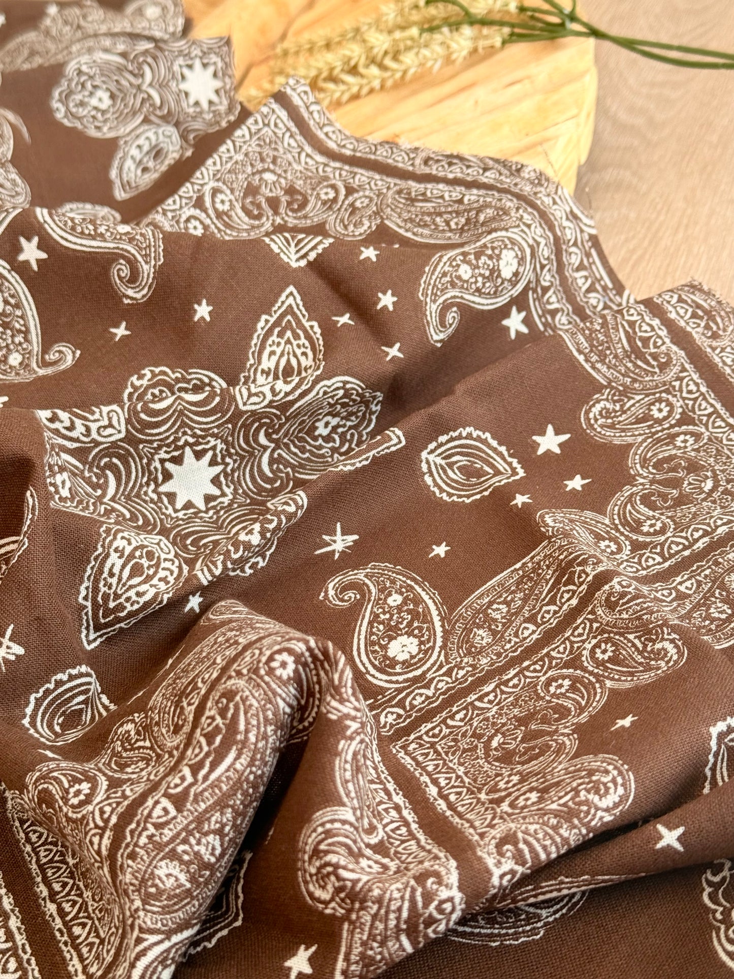 Printed Linen Desert Paisley