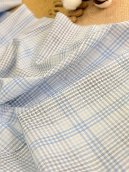 Printed Cotton Checks 22