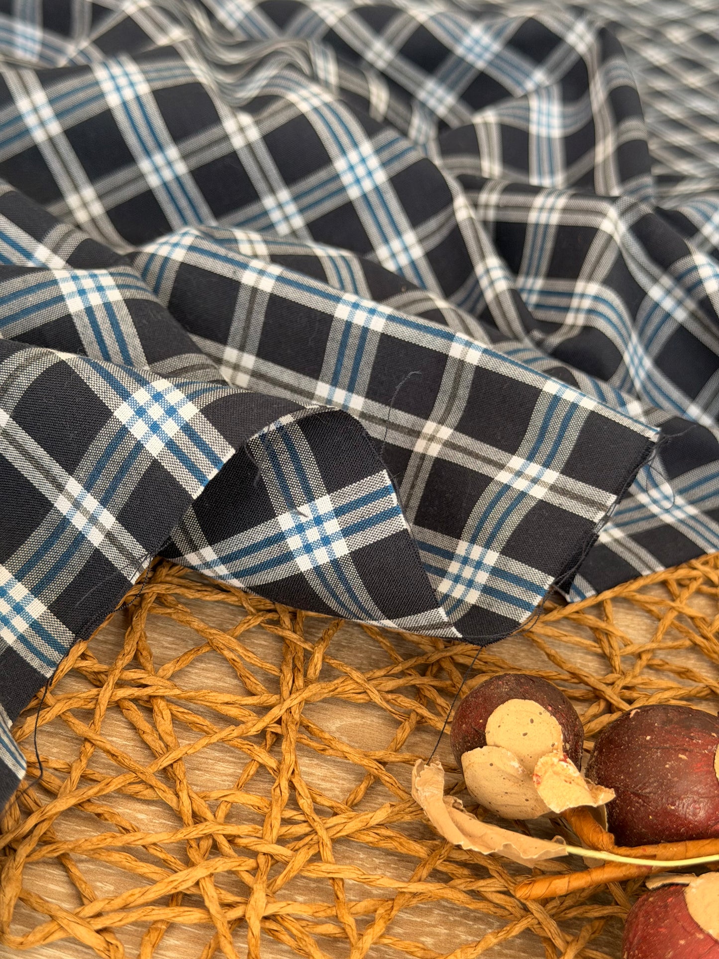 Printed Cotton Checks 21
