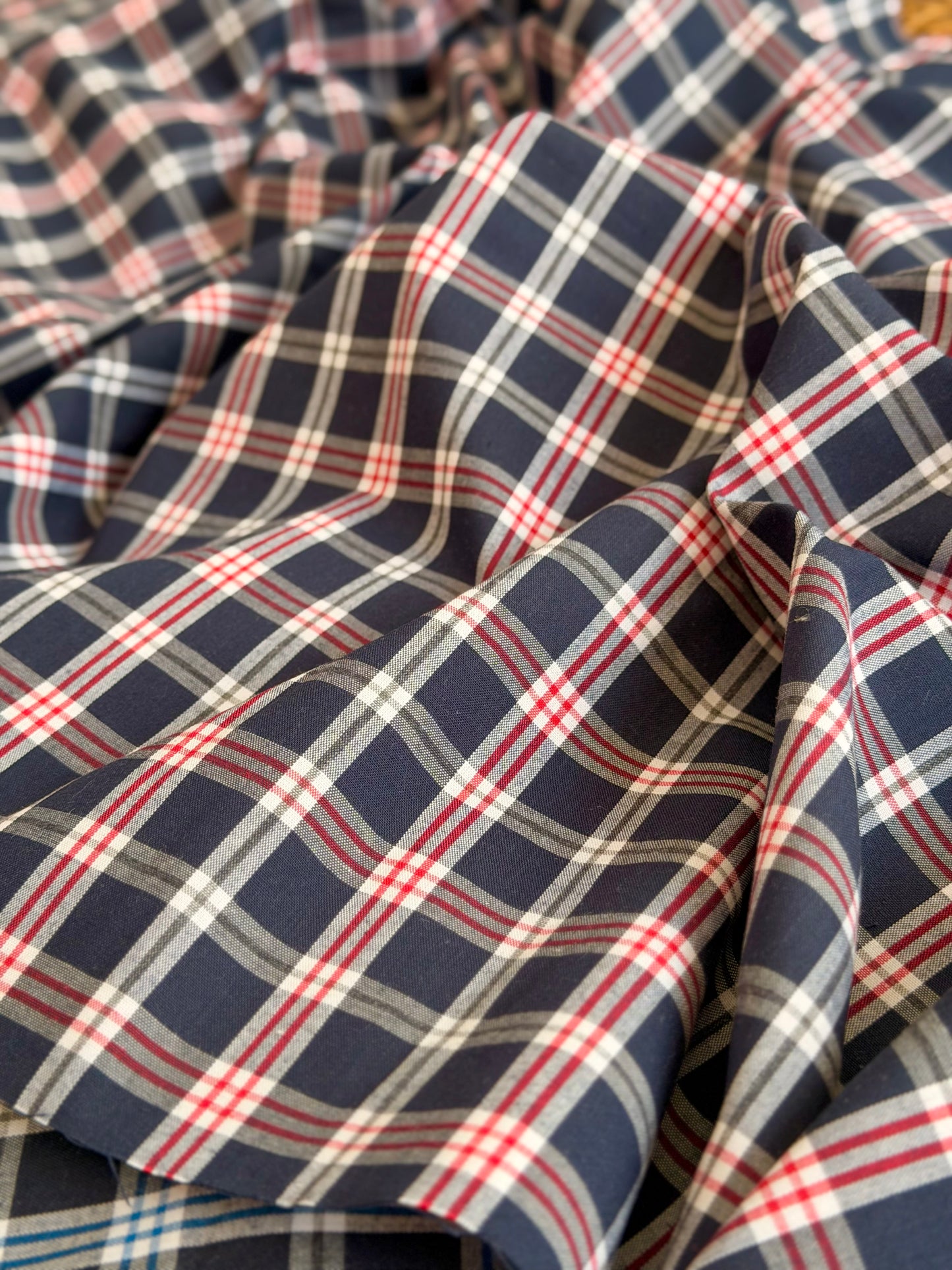 Printed Cotton Checks 21