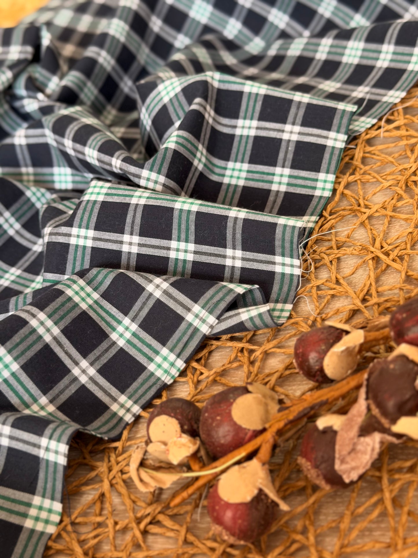 Printed Cotton Checks 21