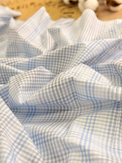 Printed Cotton Checks 22