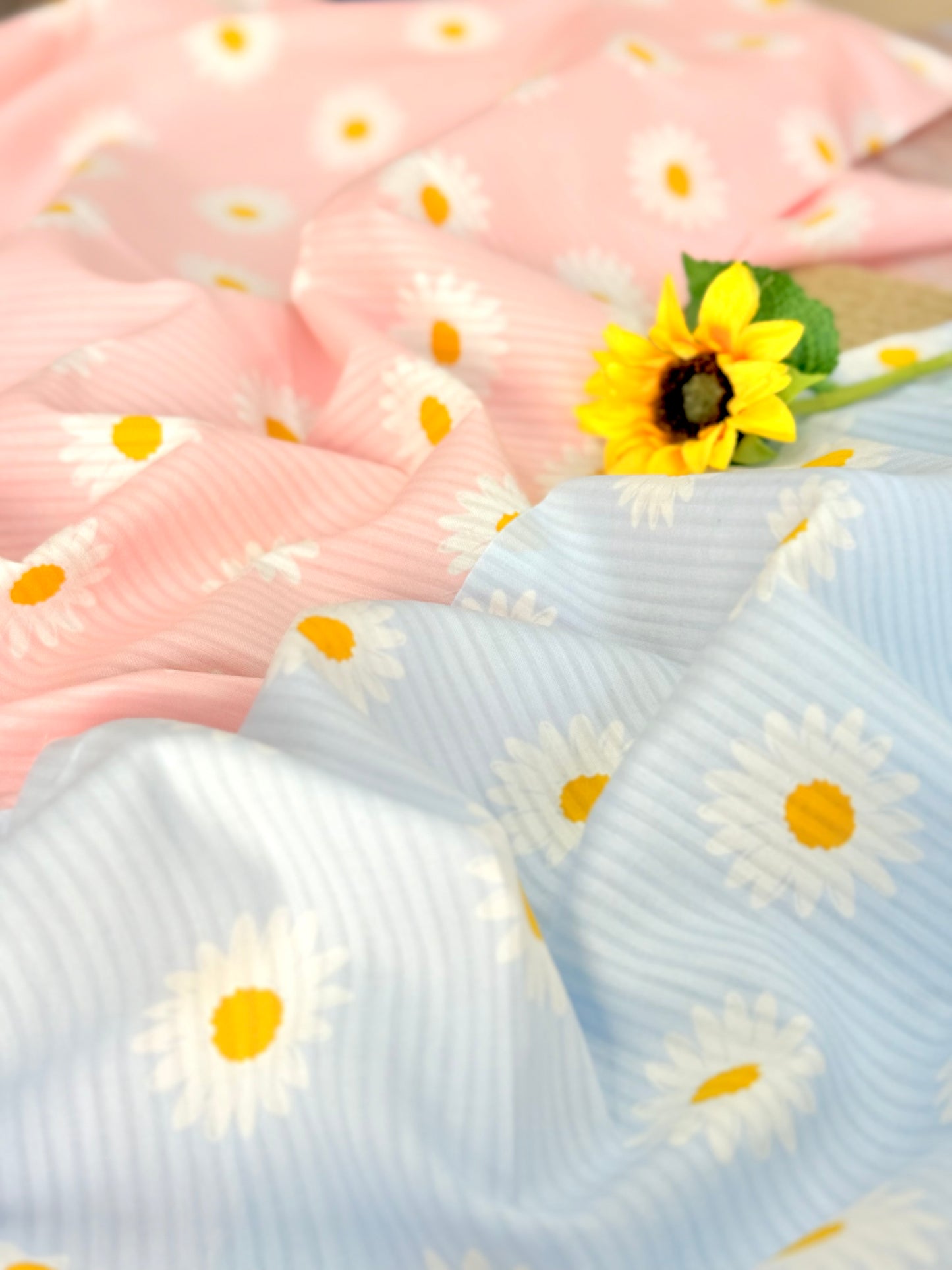 Printed Voile Daisy Daydream