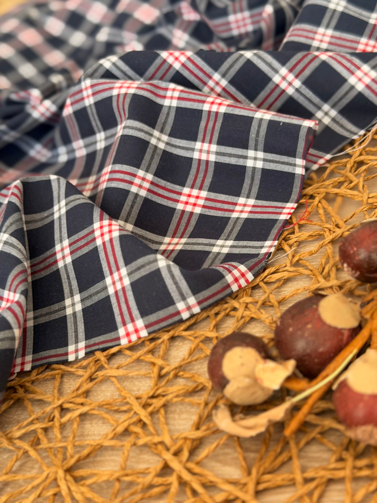 Printed Cotton Checks 21