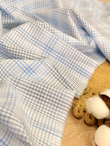 Printed Cotton Checks 22