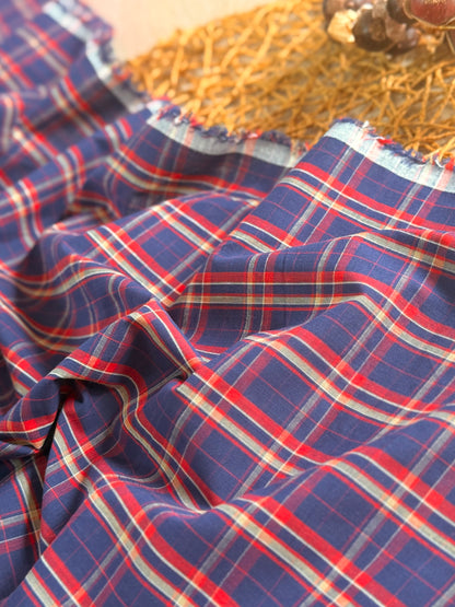 Printed Cotton Checks 27
