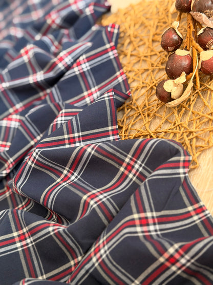 Printed Cotton Checks 19