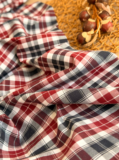Printed Cotton Checks 20